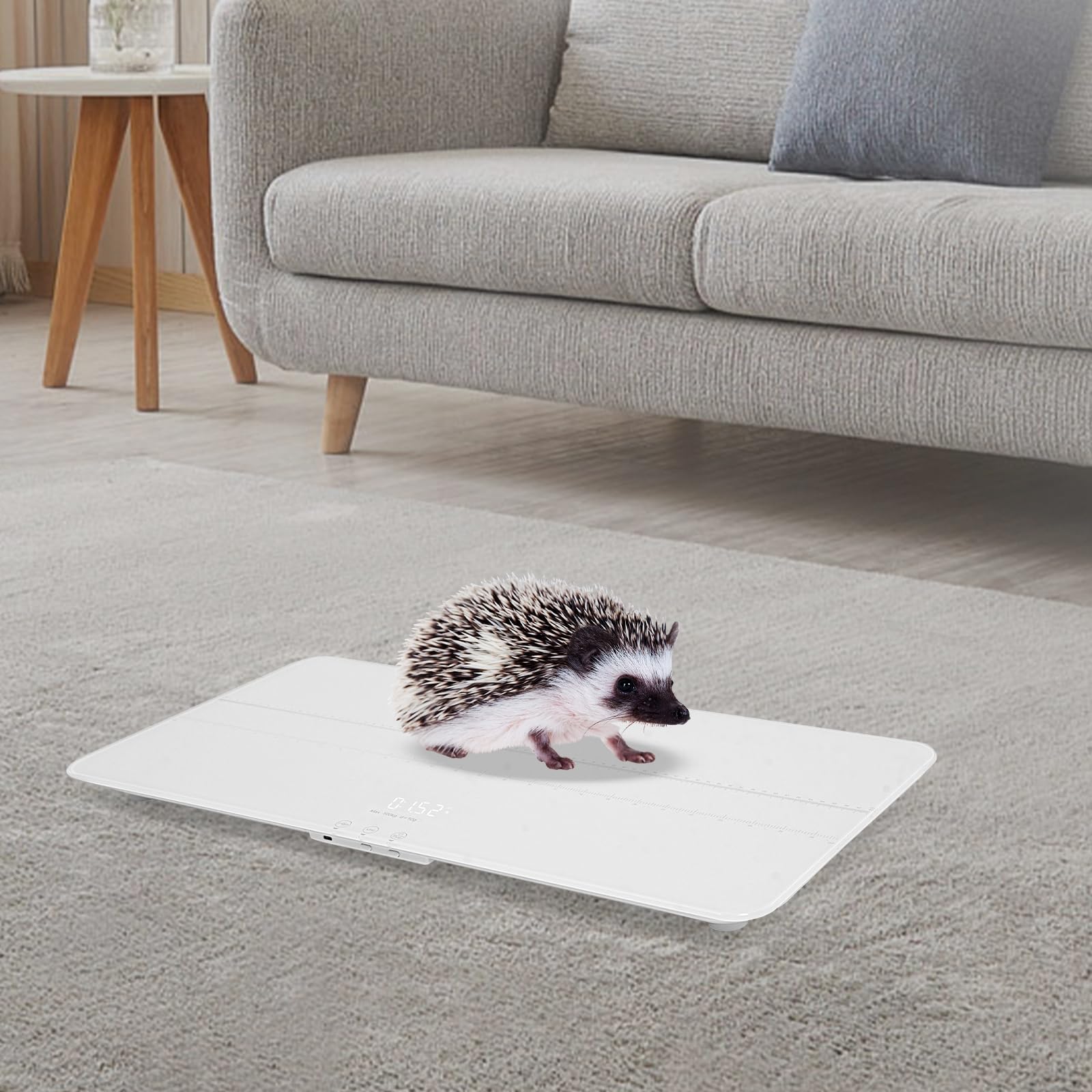 69 * 33Cm Digital Balanza para Animales para Perros y Gatos, de Vidrio Templado, Balanza para Perros 50g-100Kg con Pantalla LED, para Hogares, Tiendas de Mascotas, Blanco