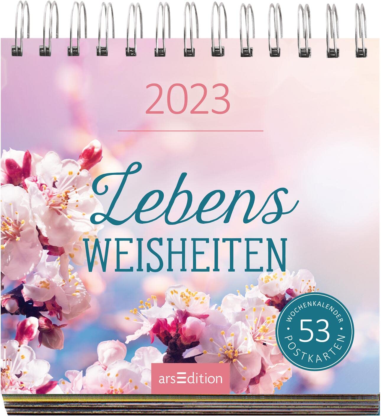 Display Postkartenkalender 2023: Mit 20 x 3 Ex. | Wochenkalender 2023, 53 Postkarten zum Abtrennen und Verschicken