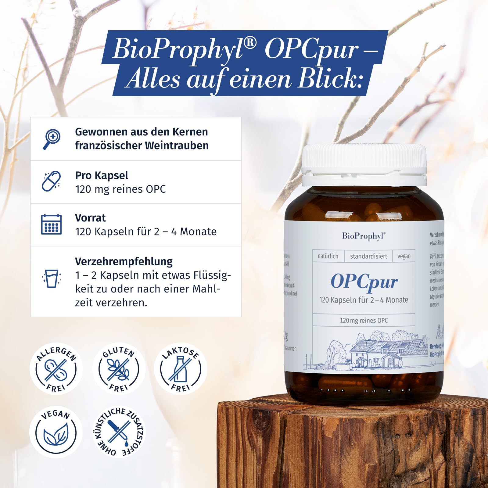 OPCpur | 120 mg reines OPC ohne Vitamin C - 300 mg Traubenkernextrakt aus französischen Traubenkernen - 120 pflanzliche Kapseln für 2-4 Monate