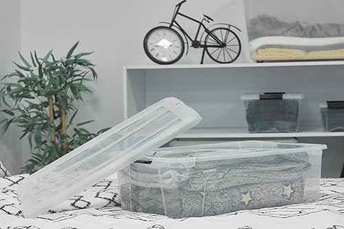 Iris Ohyama, Boite Rangement Plastique avec Couvercle, 30L, NTB-30 - 2