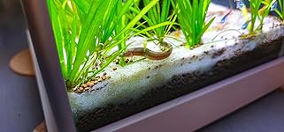 Review Image by DH in INDY DH in INDY