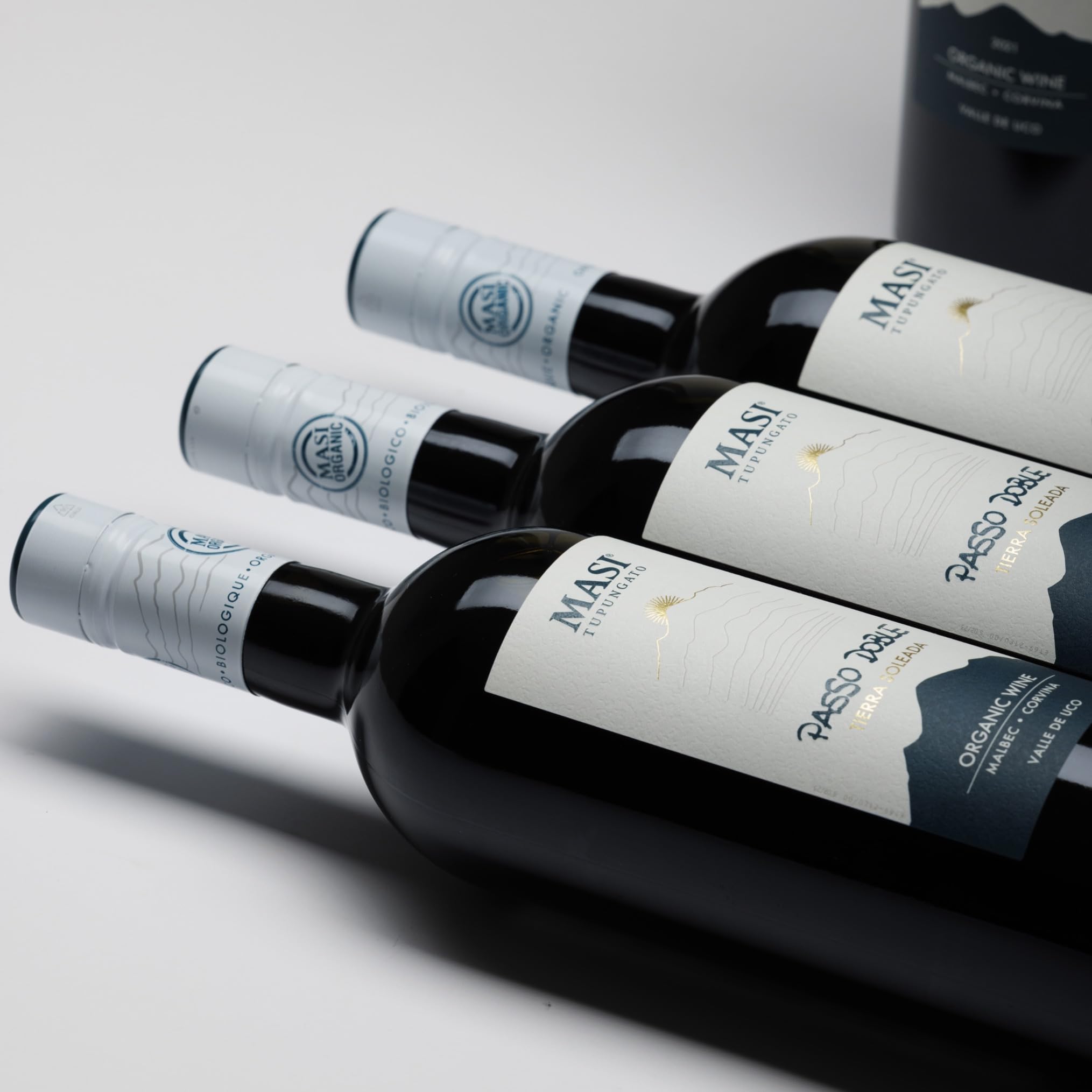 MASI Tupungato "PASSO DOBLE" 2023 | Vino Rosso di Argentina BIO | 6x750 ml | Appassimento Expertise | Confezione 6 bottiglie