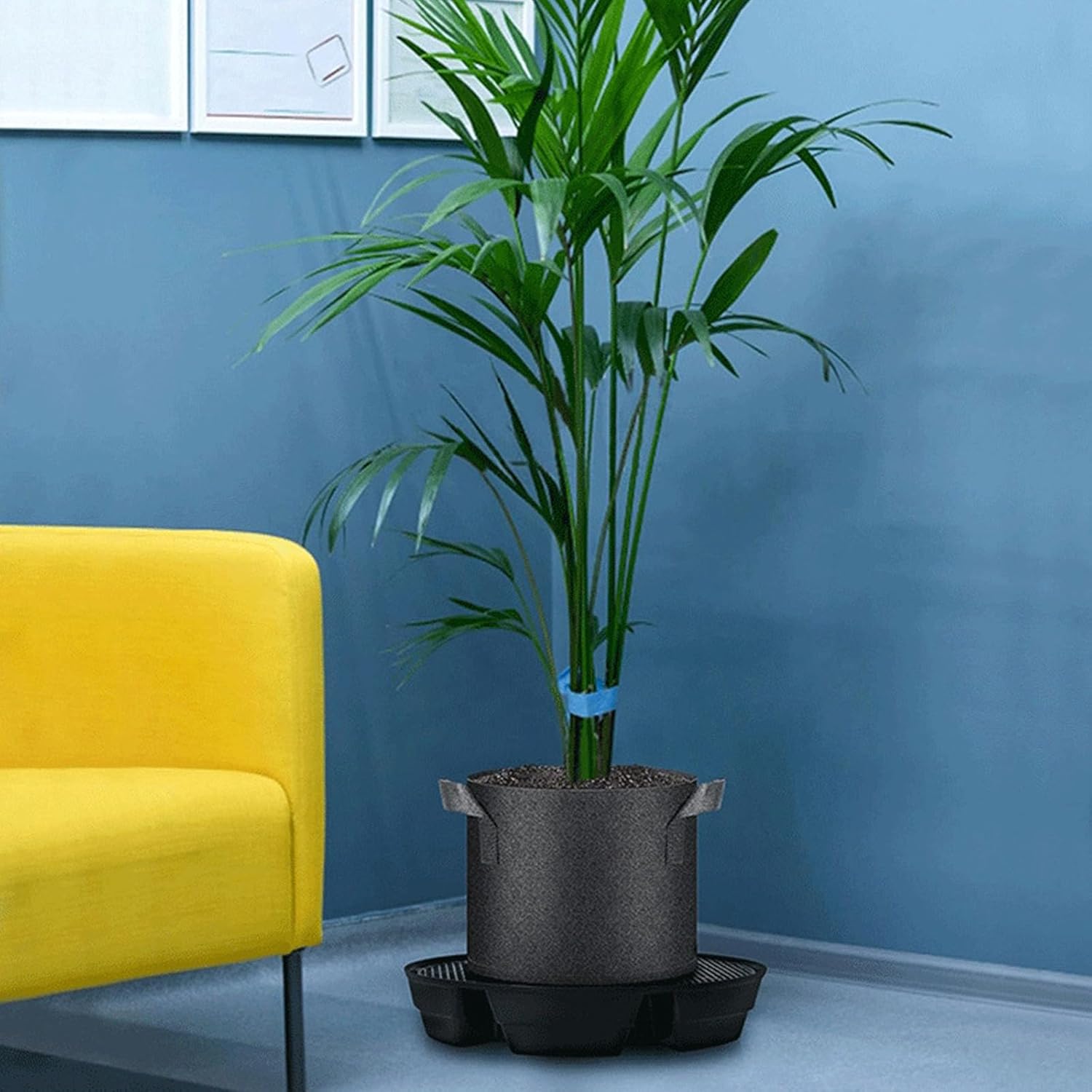 4lots Auto Regulating Watering Base Durability Nonwoven Pots Trays Breathable Plant Saucers for Home Garden Sustainable Gardening Tray