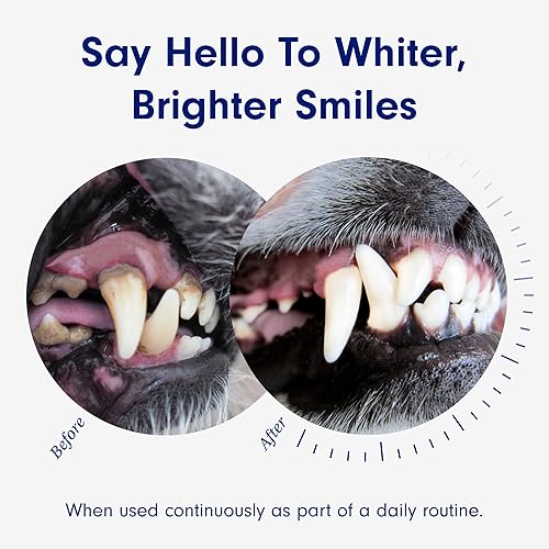 Miniatura 3 de Petlab Co Fórmula dental para perros - Mantén la respiración del perro fresca y los dientes limpios - Apoya la salud de las encías - Aditivo de agua