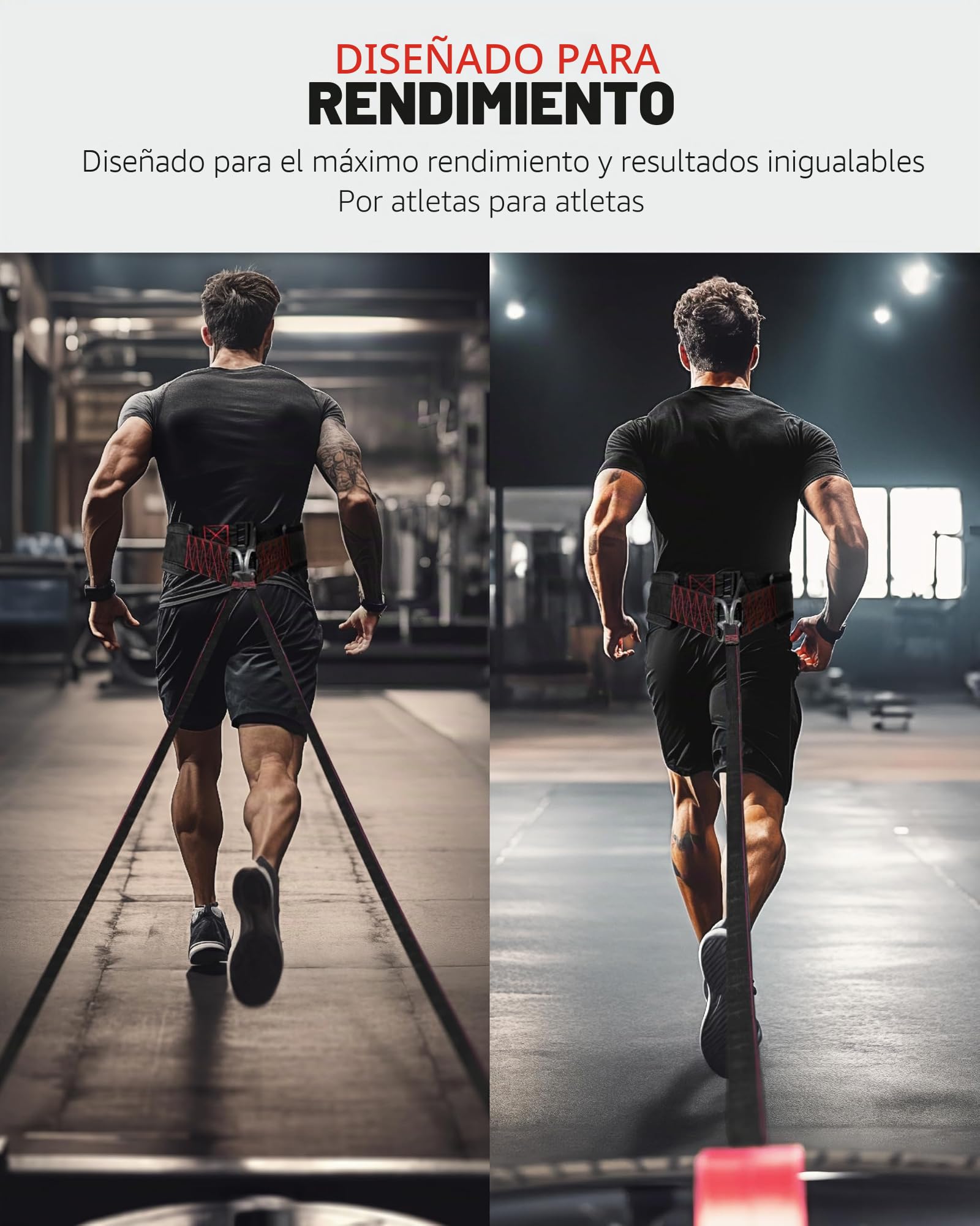 THEFITGUY Cinturón de tracción de trineo, cierre ajustable, 2 correas y 4 ganchos, para entrenamiento de resistencia multidireccional, fuerza y agilidad