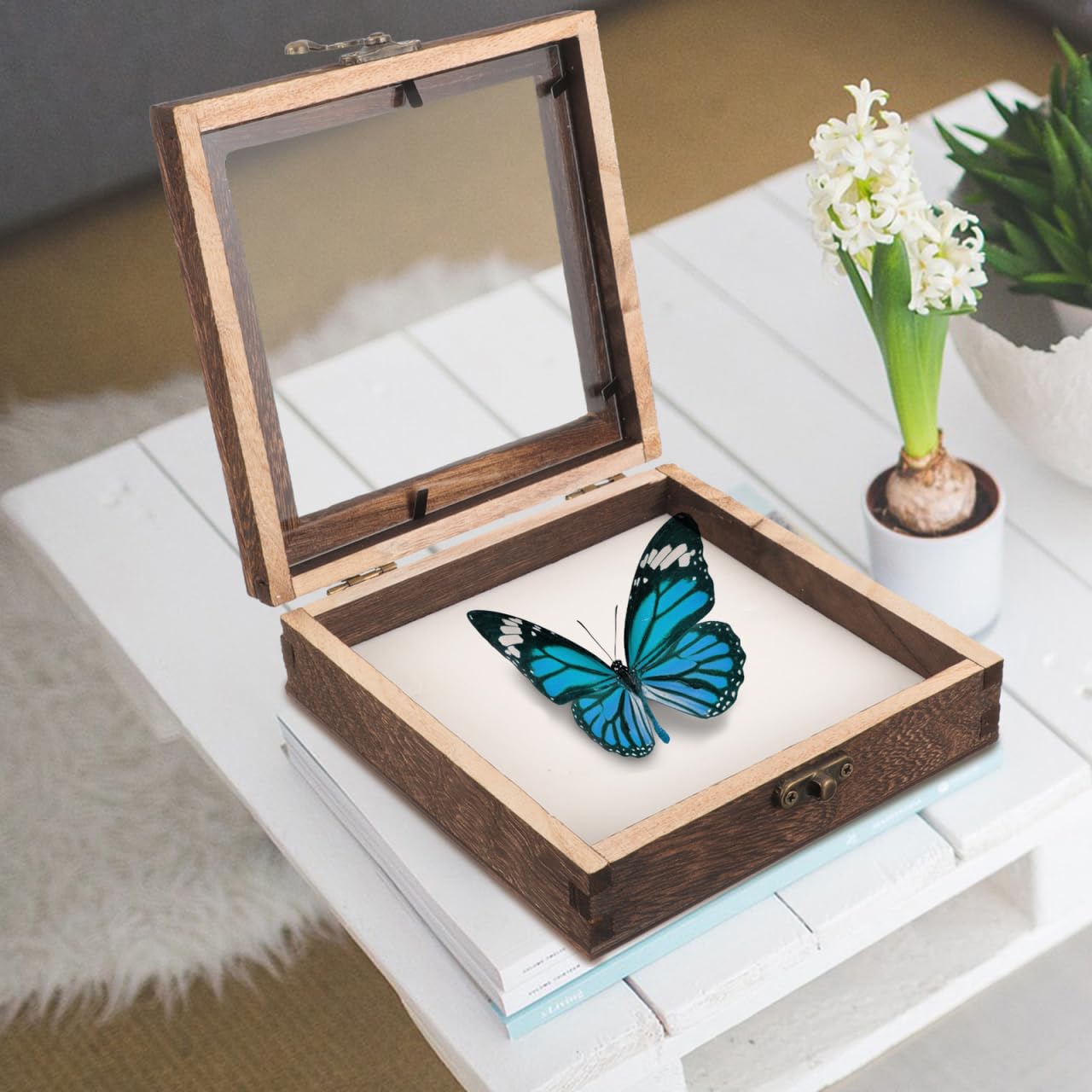 iplusmile 1 Satz Insektenprobenbehälter aus Glas Insekten-Schaukasten Sammlerbox für Insekten Vitrine für Schattenbox Holzrahmen Felsen Ausstellungsregale Schmetterlinge Vitrine 15 x 15 x 4,5 cm