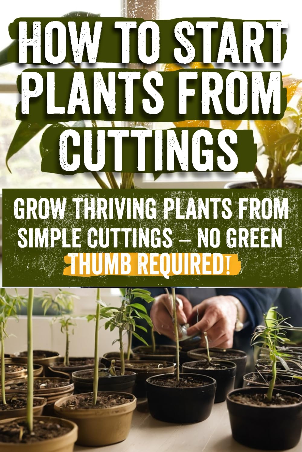 How to Start Plants from Cuttings: A Comprehensive Guide to Plant Propagation Techniques for Success – Master the Art of Growing Plants with Expert Tips, Tools, and Sustainable Practices