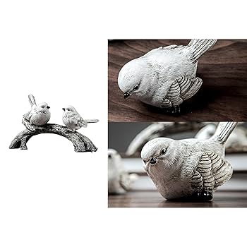 鳥と木の枝 木の枝に止まるアンヒンガ鳥」の動画素材（ロイヤリティフリー