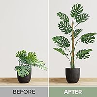 Vista 5 de Paquete de 2 postes de musgo flexibles de 48 pulgadas, soporte para plantas Monstera trepadoras de interior - Estacas para trepadoras en maceta