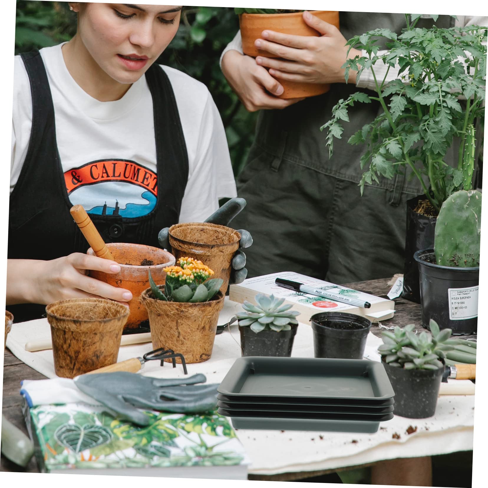 SUPVOX Lot De 4 Soucoupes Rectangulaires En Résine Plastique