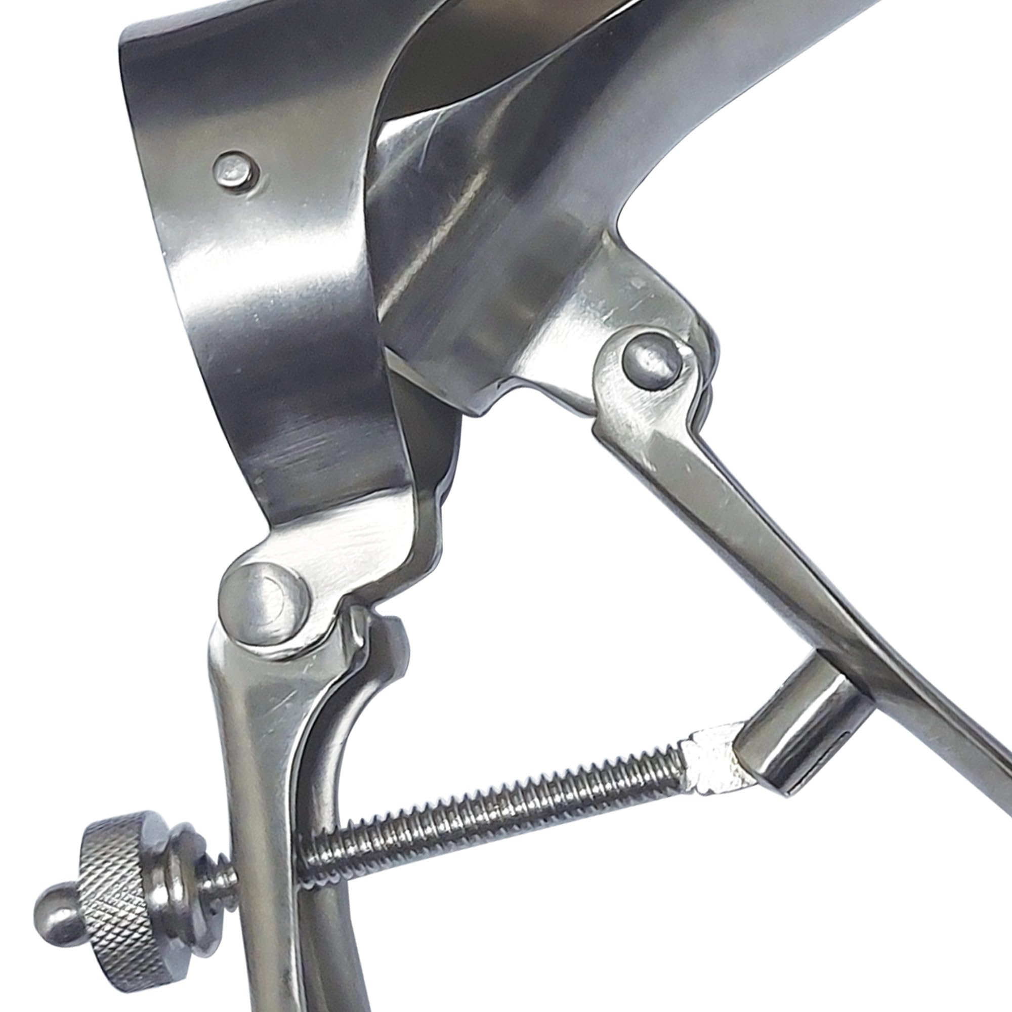 Gima 29771 Cusco Speculum inoxydable, Medium, 1 PC