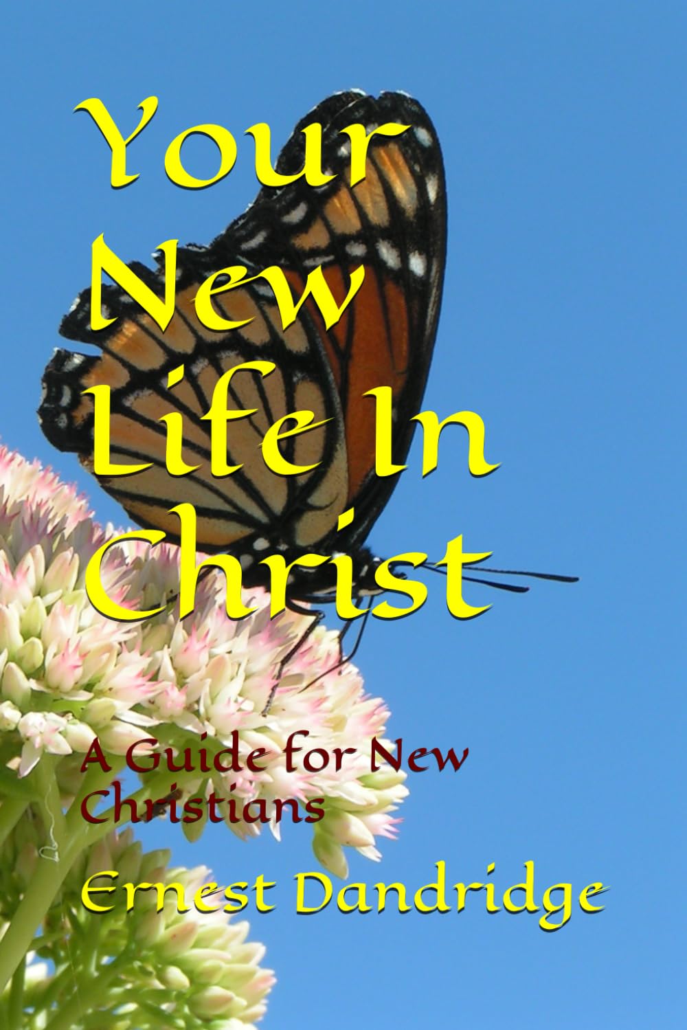 Your New Life In Christ: A Guide for New Christians