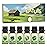Soulorigin Nature Fragrance Oils Set, Essential Oil Gift Set for Diffuser, Natural Scent Diffuser Oil for Candle Making-Fresh Cut Grass, Mountain Air, Bamboo, Ocean Breeze, Fresh Lotus Leaf, White Tea