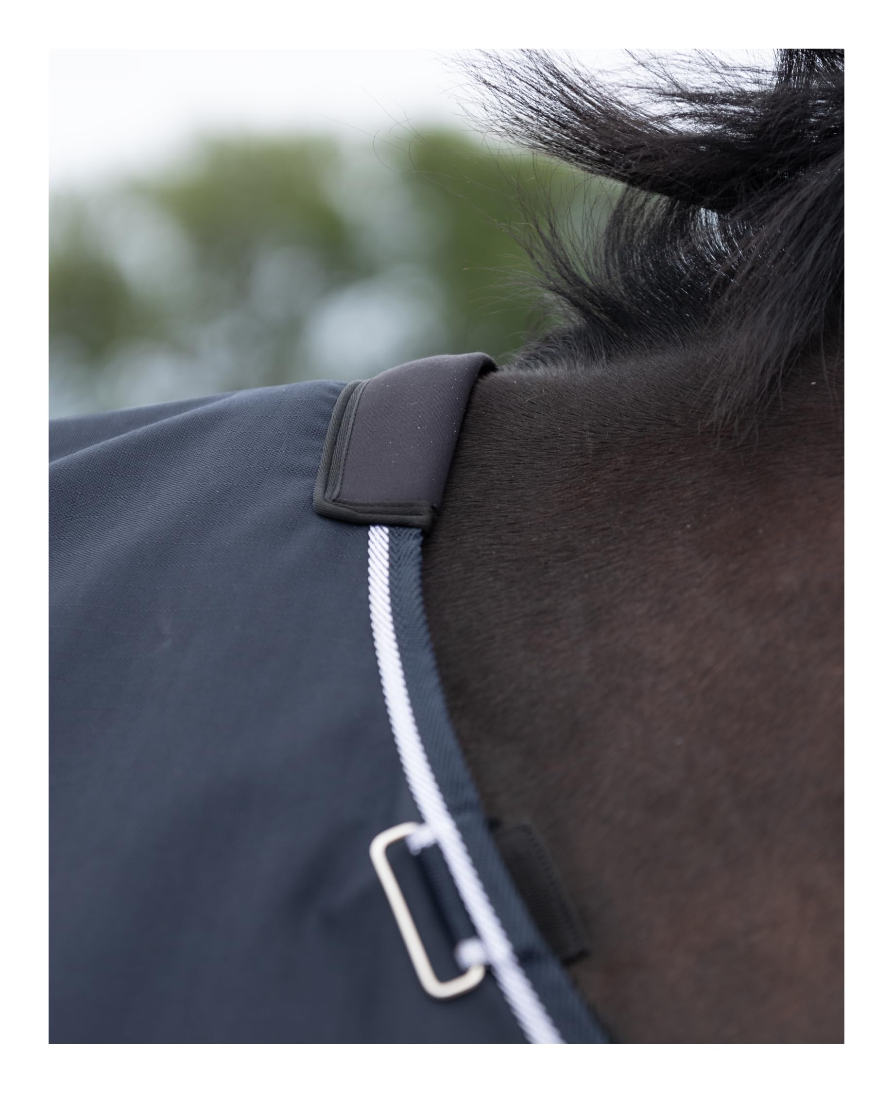 4Horses Outdoordecke Kalmar 100g für Pferde, wasserdichte Winterdecke mit 100g Füllung, atmungsaktiv und robust, ideal für kalte Tage und Weide