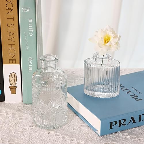 Miniatura 5 de Fixwal Juego de 5 jarrones de flores, florero pequeño para flores, jarrón de cristal para decoración del hogar, decoración de boda, jarrones de