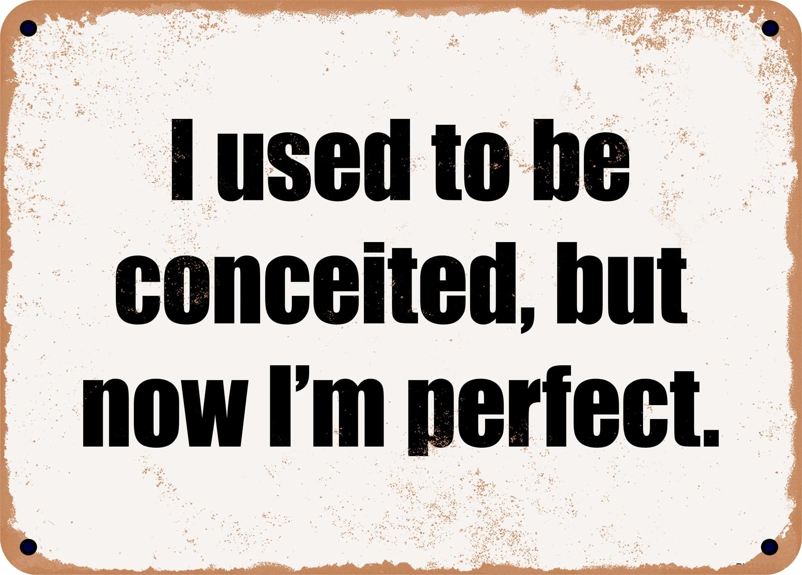 Miaomansenstore Metal Sign - I Used To Be Conceited, But Now I'm Perfect Home Decor