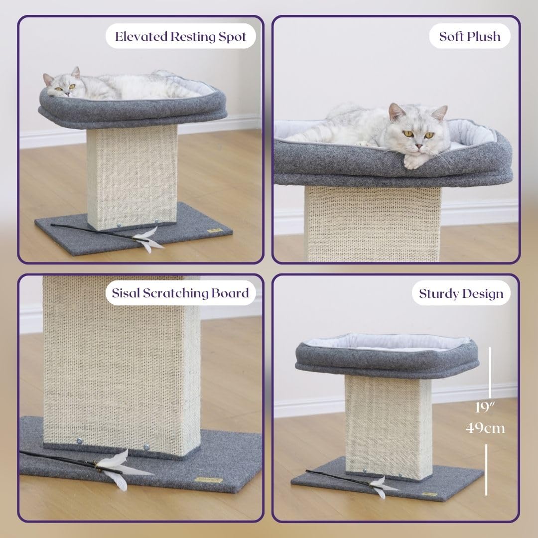 Catry Letto per gatti con tiragraffi – Design minimalista di albero per gatti con accogliente letto per gatti e tiragraffi stuzzicante, allure gattino a rimanere intorno a questo mobile robusto e