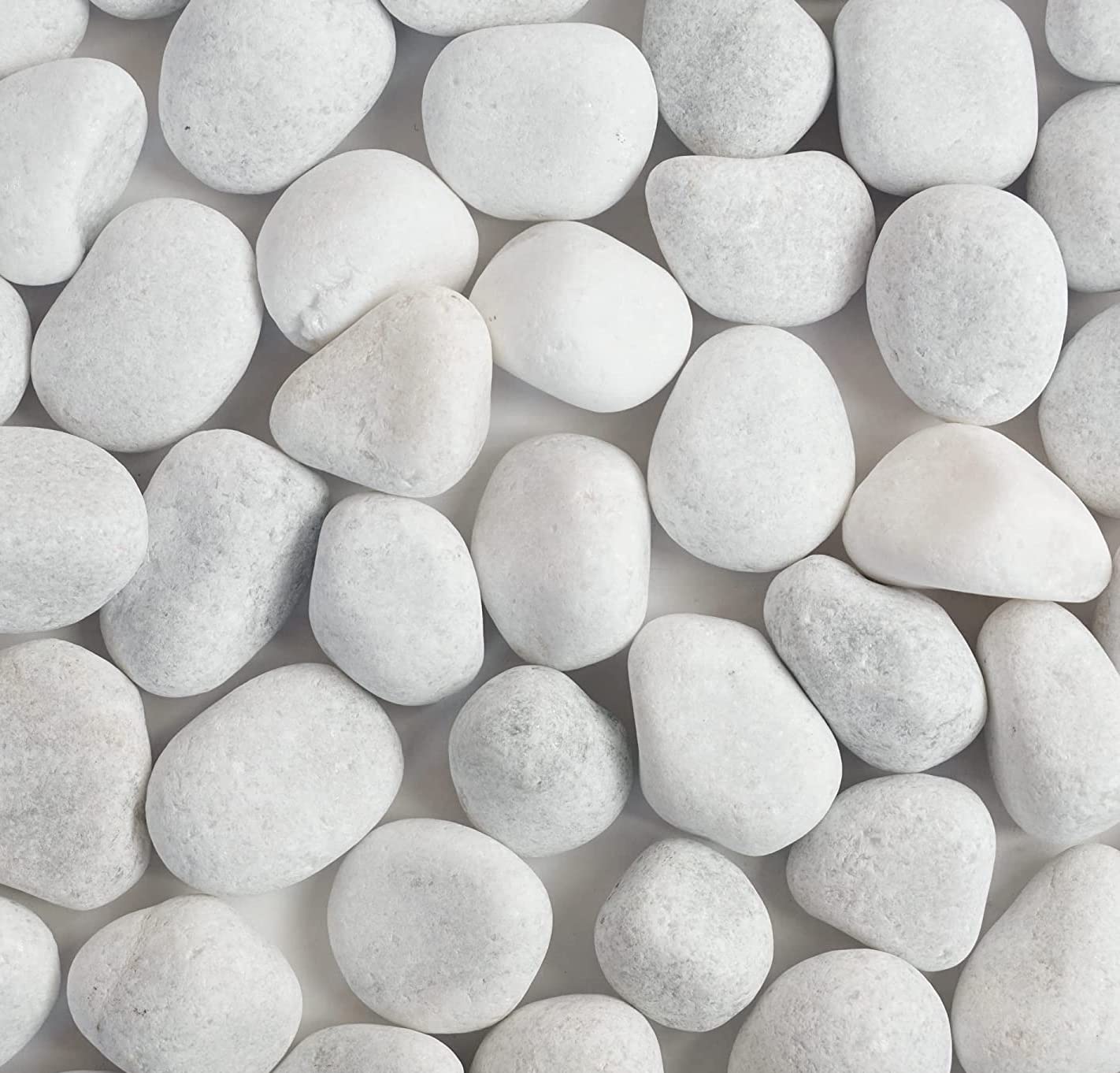 White Unpolished Matt Pebbles (AVD16-11) for Aquarium/Garden D�cor (1.5 KG) (B09RK9MBMX) Amazon Price History, Amazon Price Tracker