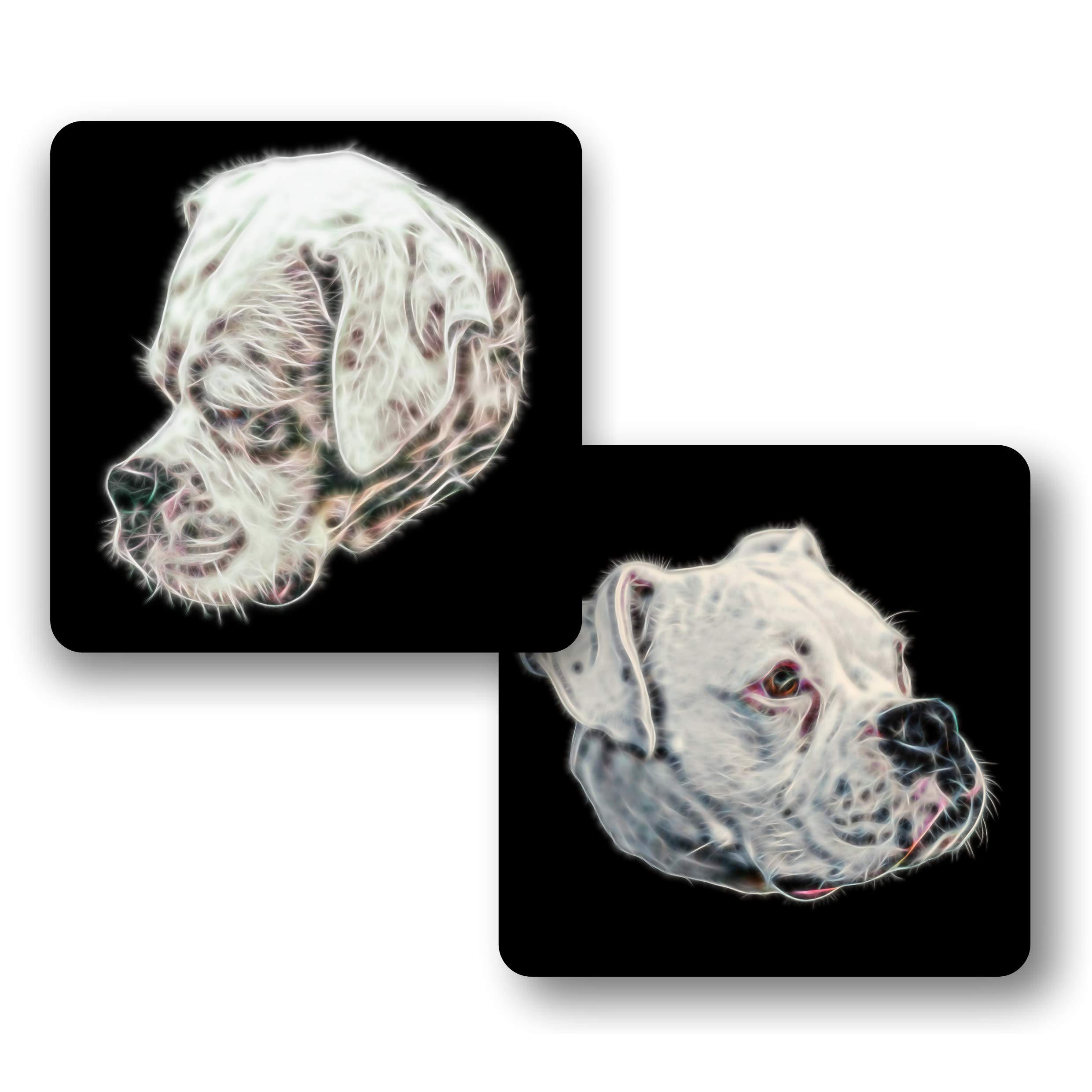 Fractal Artworks Boxer Dog Coaster Set with Fractal Art Design. White Boxer Dog