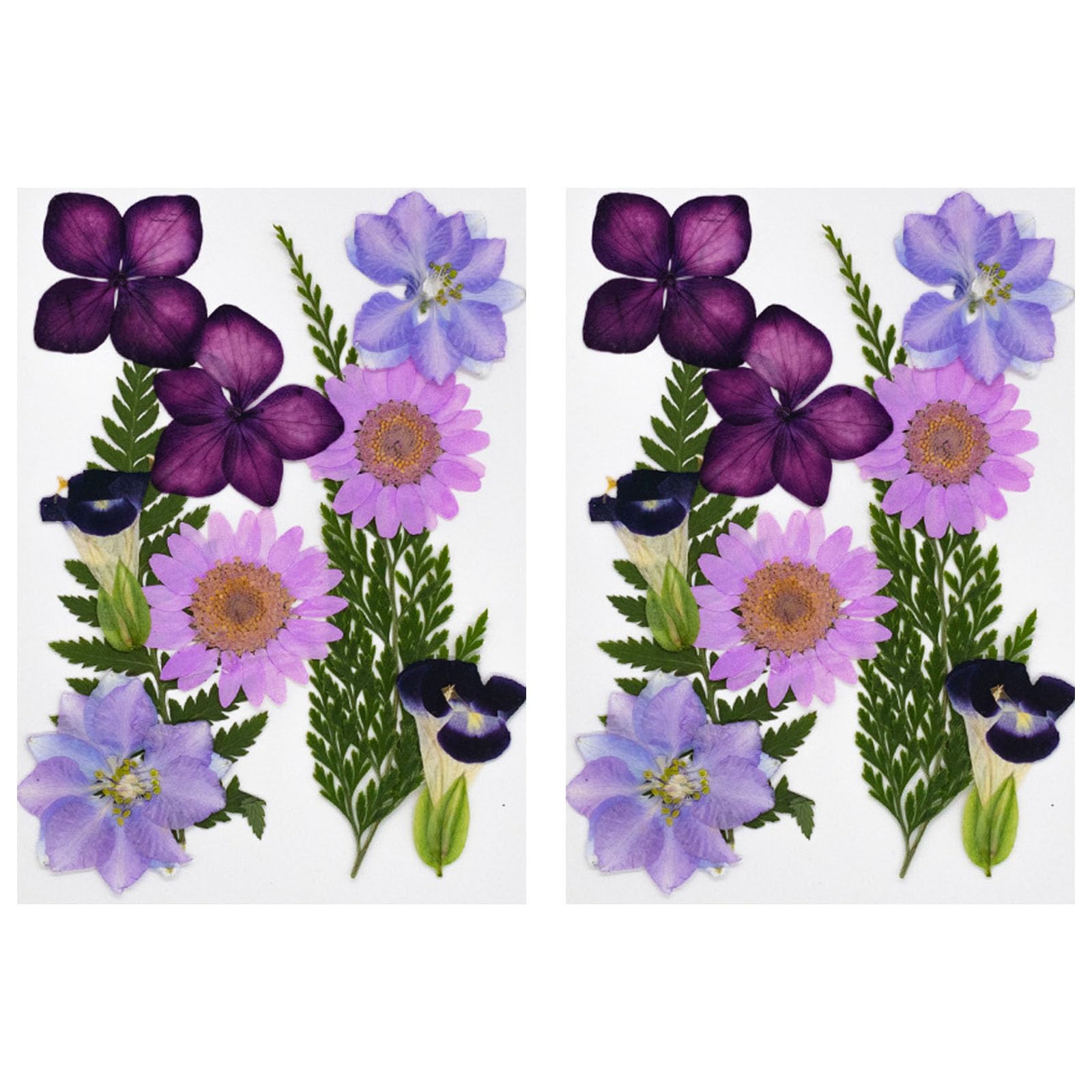 NEWFT 20Pcs Dried Pressed Flower for Resin Natural Dry Flower Leaves for Art Craft Scrapbooking Jewelry Candle Making