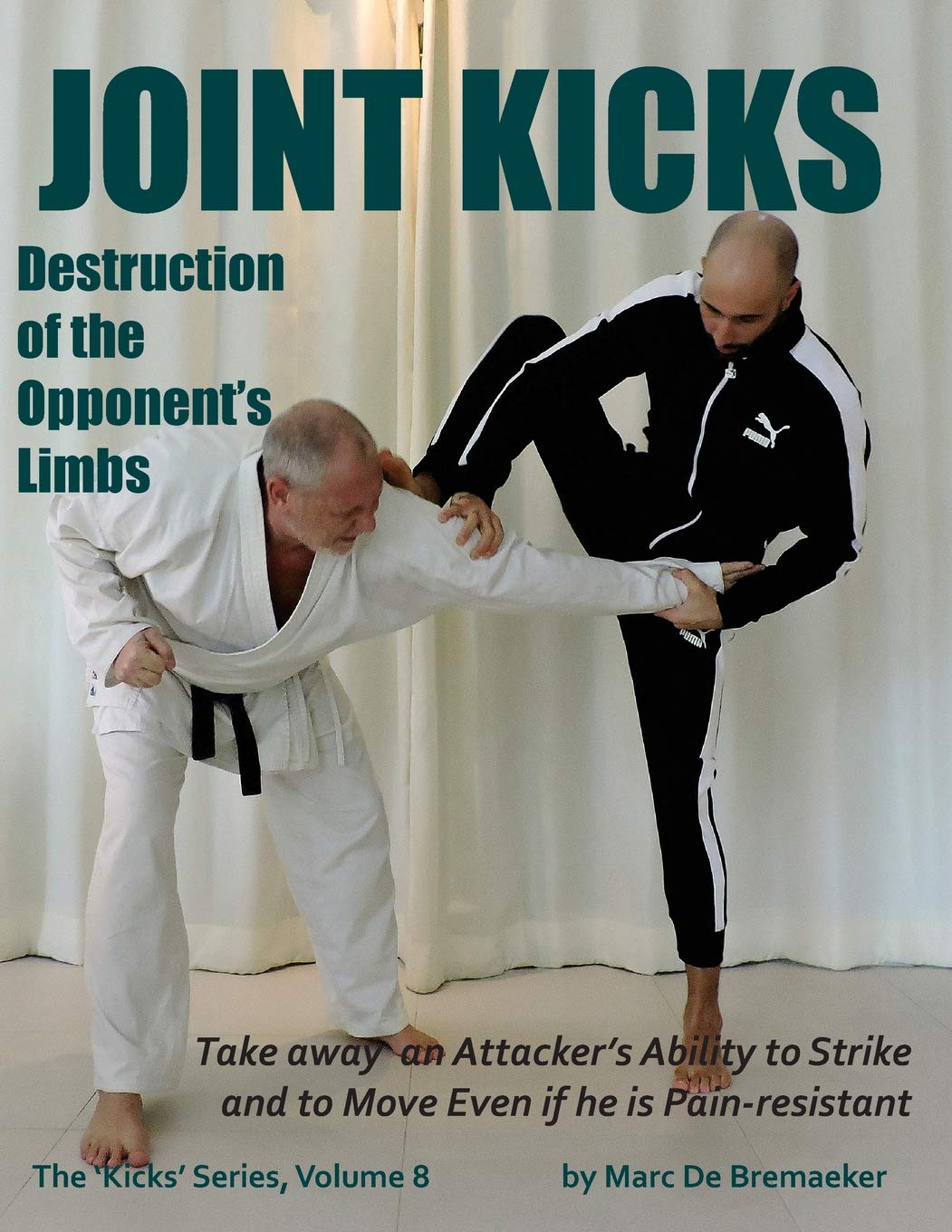 Joint Kicks: Destruction of the Opponent's Limbs: Volume 8