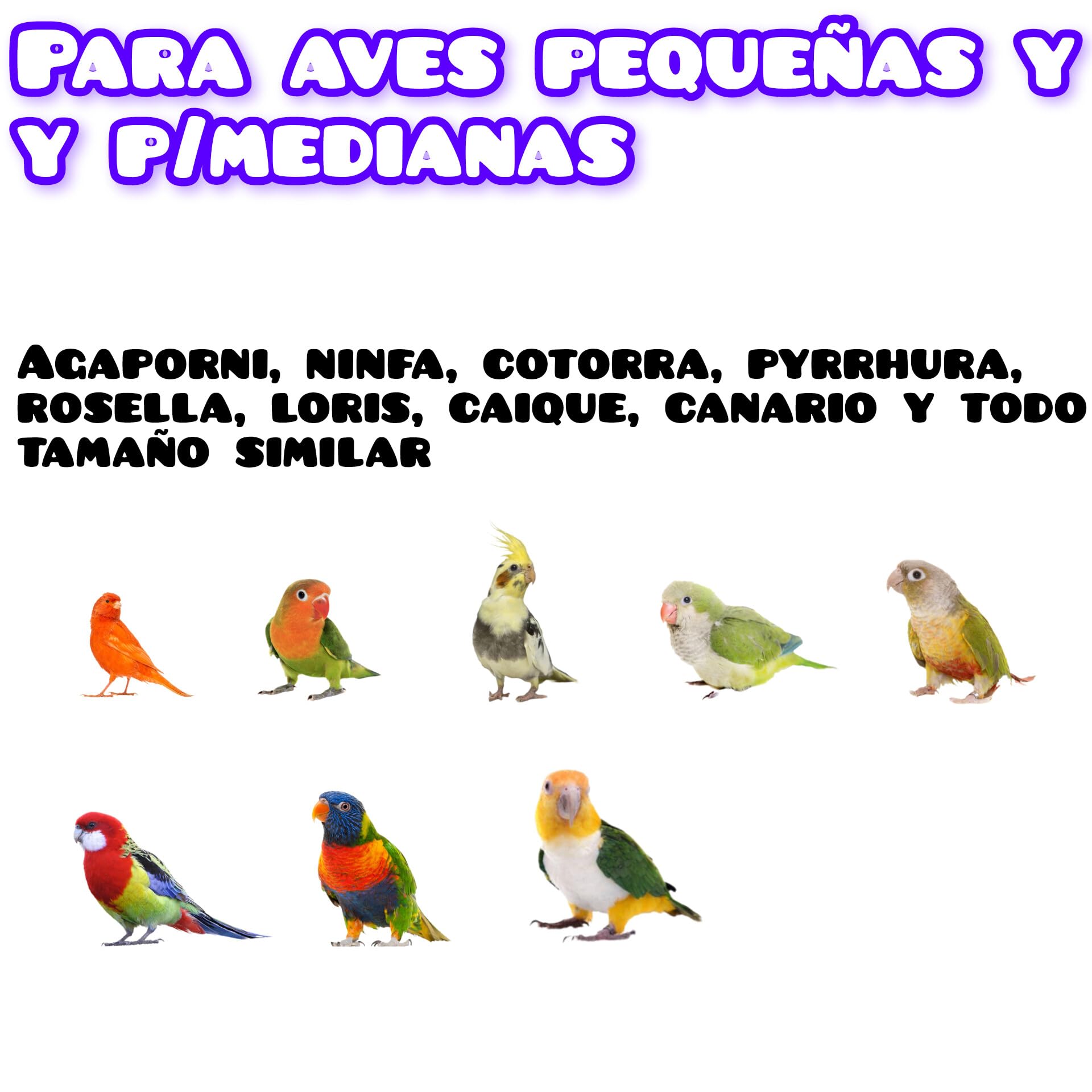 Escalera lima uñas para jaulas de loros agaporni, ninfa, accesorio de escalada cotorra, caique, juguete de pájaros conures, pyrrhurras, loris, rosellas, percha de loro 8 peldaños y materiales seguros.