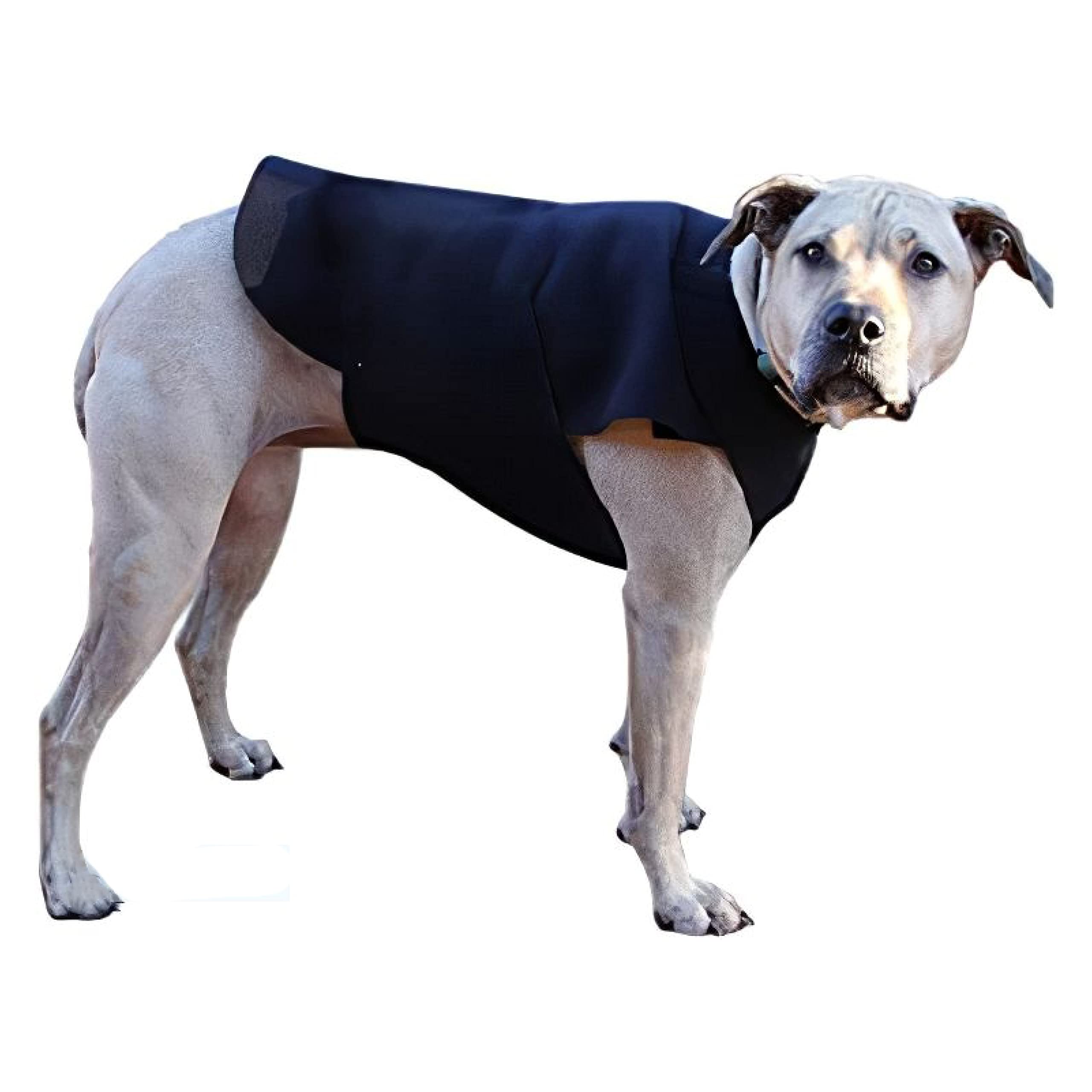 HealersInjury Recovery Front Body Wrap for Dogs - Multi Use Pet Healer - Reduce Itching and Anxiety - Therapeutic, Comfortable, and Soft - Adjustable Fit with Velcro Closure (Medium)
