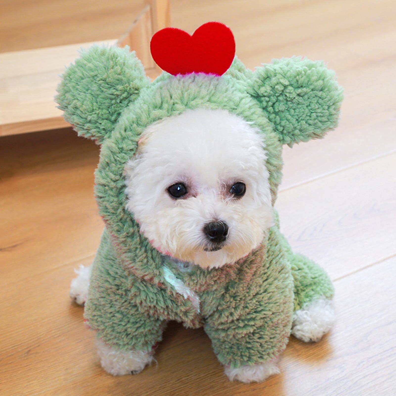 Lot de 5 Chandails pour Chiens de Petite Taille, Doux et épais