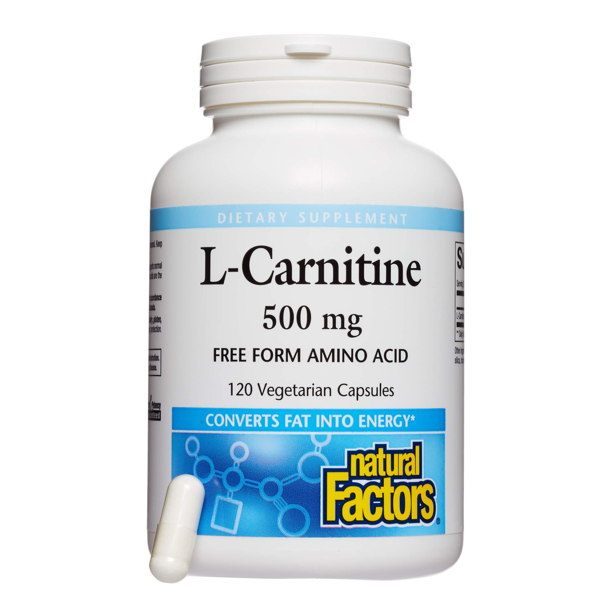 l carnitine and elevated liver enzymes Frontiers main image 1