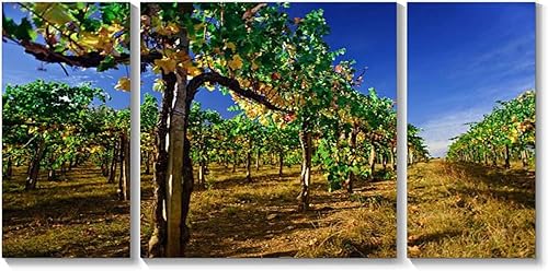 BDMPIZLNSF Lienzo de 3 paneles para pared, diseño de belleza, viñedos, colores otoñales, producción de cosecha, vino Chianti, impresión enmarcada