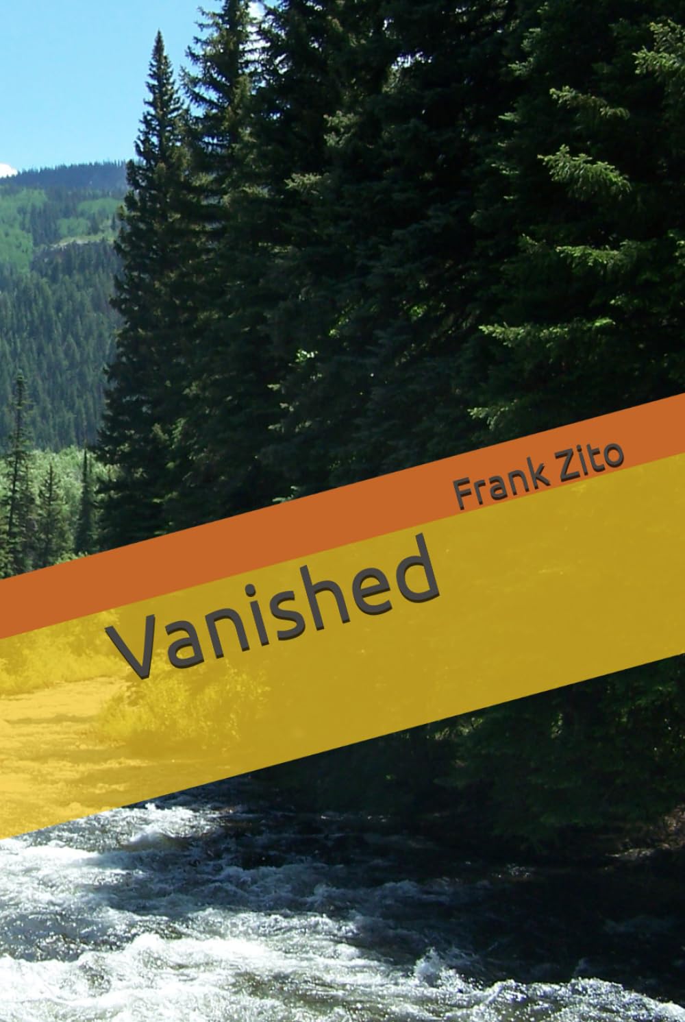 Vanished (Mystery Thrillers)
