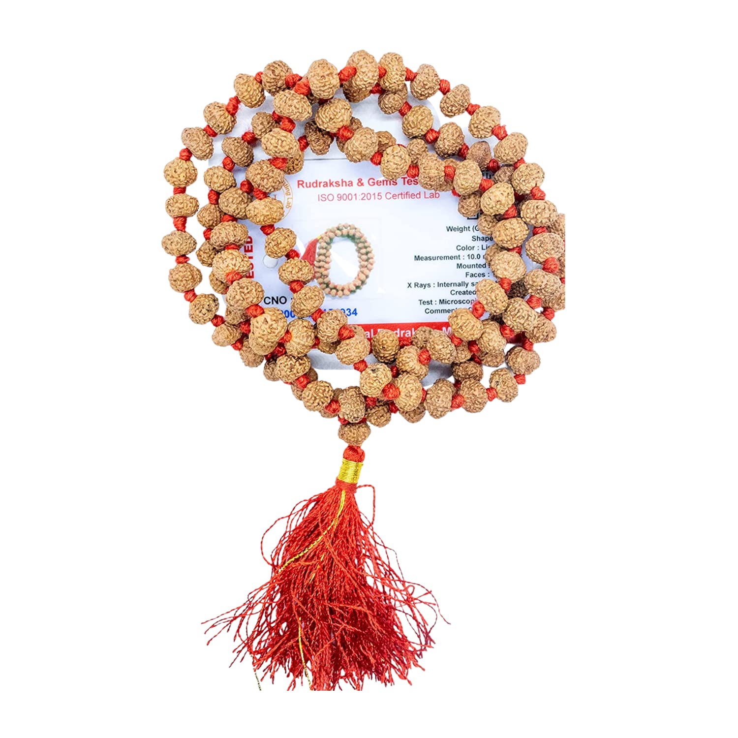 6 Mukhi Rudraksha Mala - Lab Certified -2