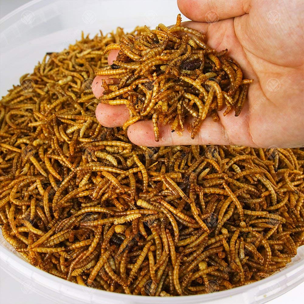 3 x 5 kg suszony dziki ptak