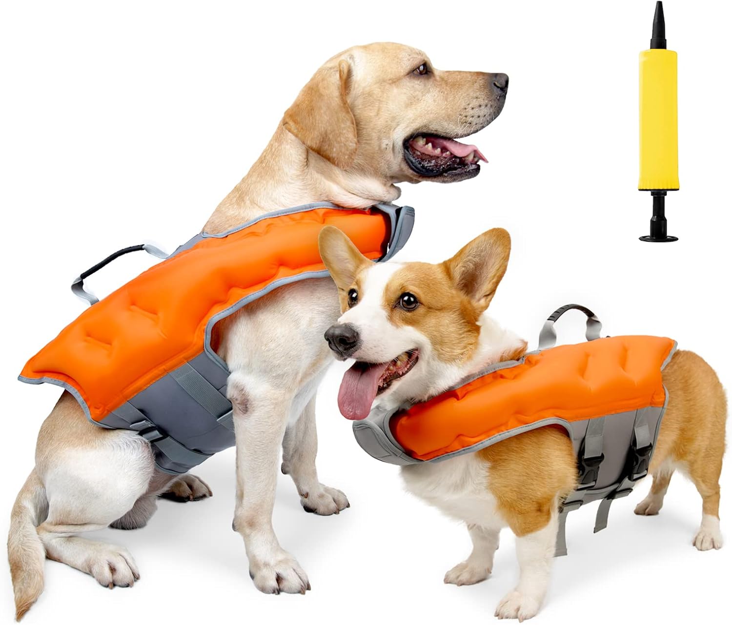 FloatBuddy The Inflatable Dog Safety Vest for Water Adventures