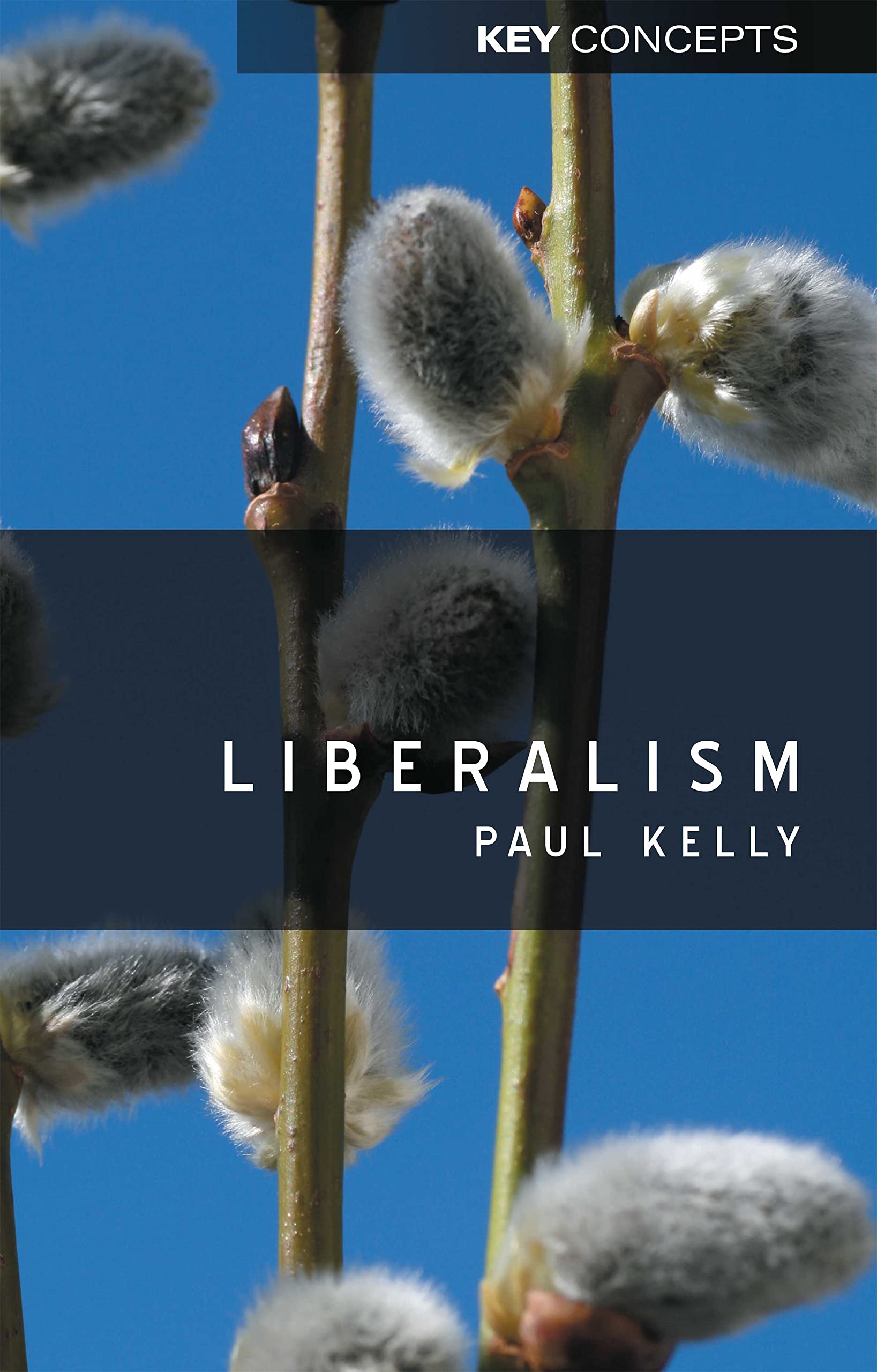 Liberalism: 2 (Key Concepts)