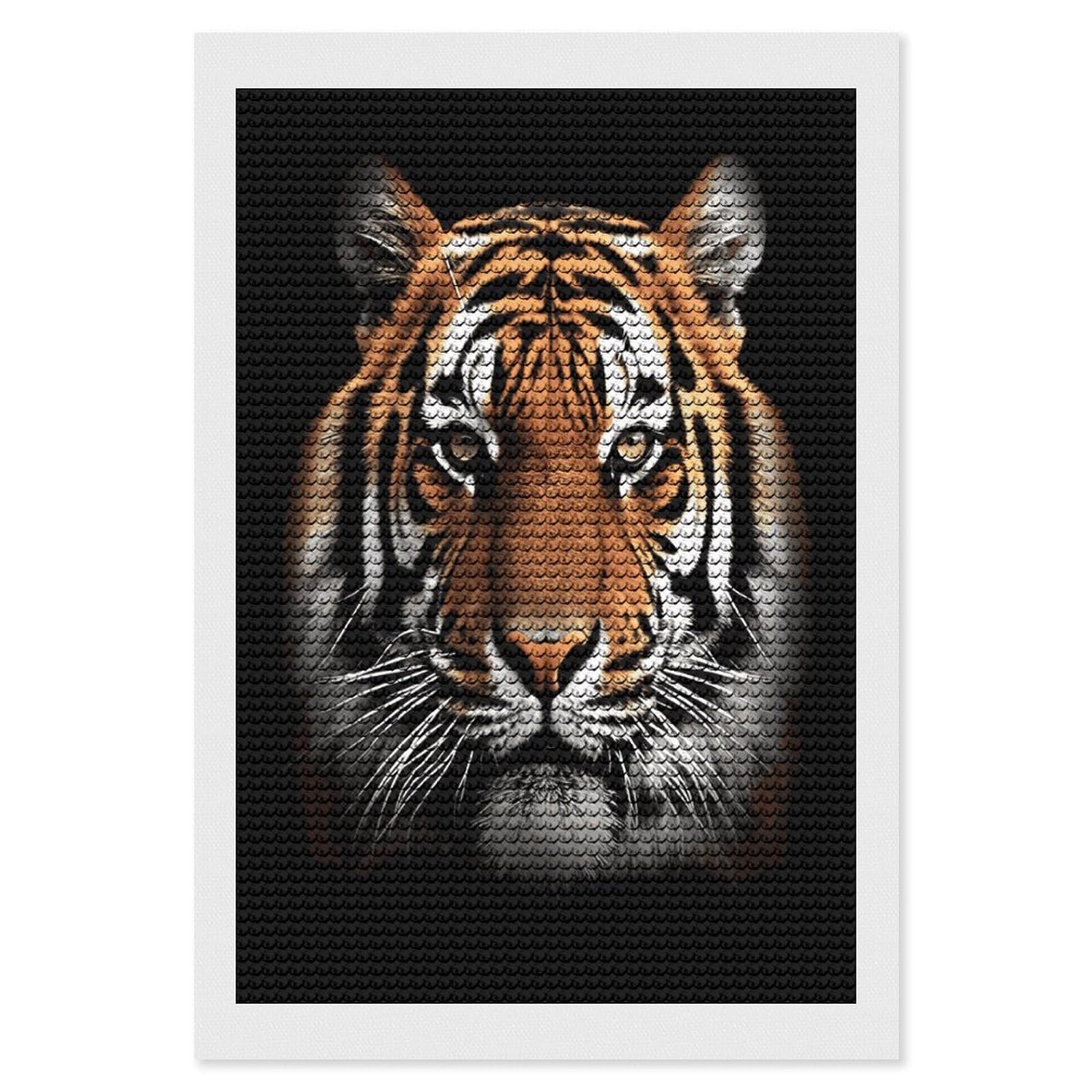 LDGSUPH Tiger Face Diamond Painting Kits for Adults Paint with Diamond Pictures Art DIY Full Drill Diamond Dots Painting Personalized Diamond Photo for Home Wall Decor Gift 8"x12"