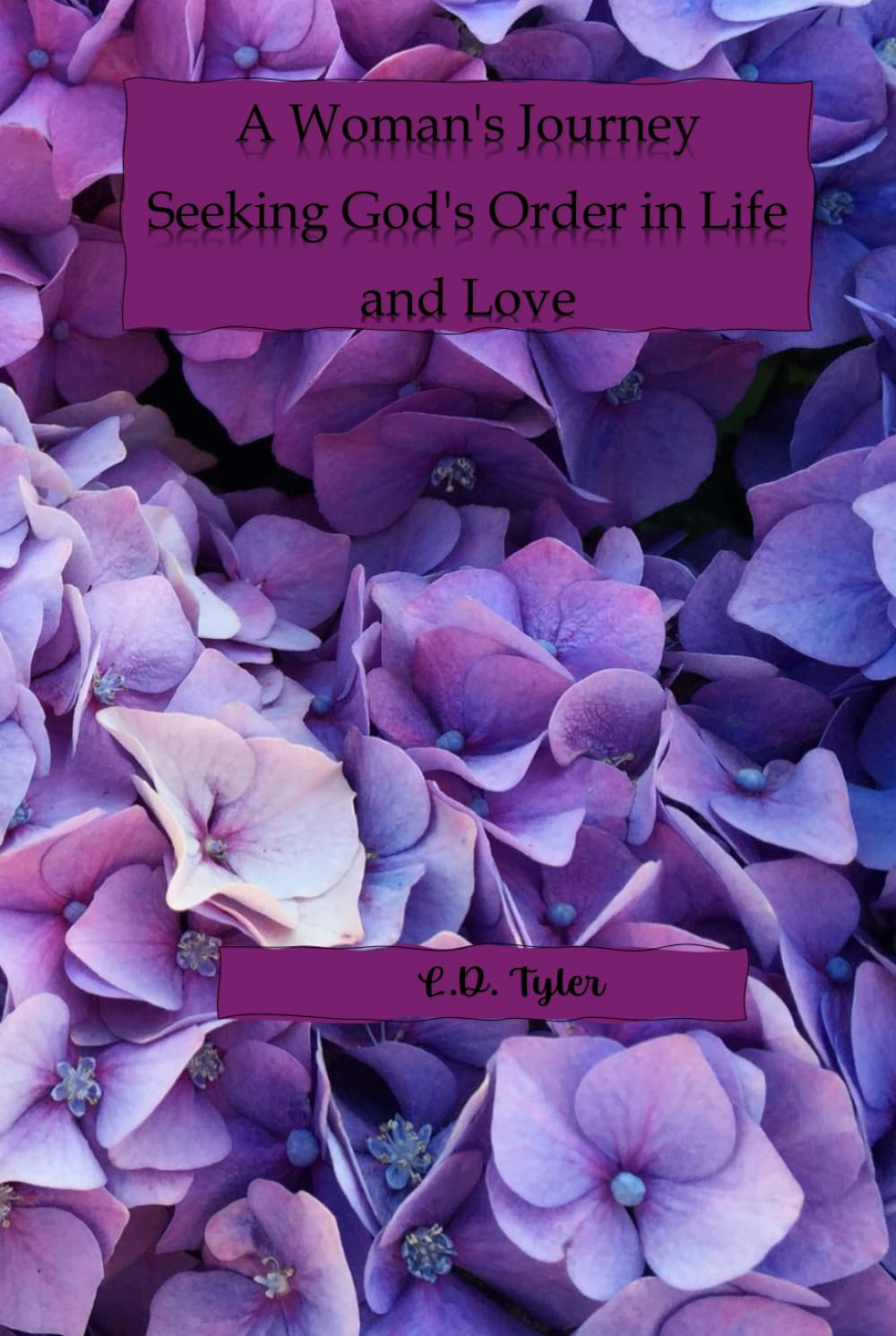 A Woman's Journey Seeking God's Order in Life and Love