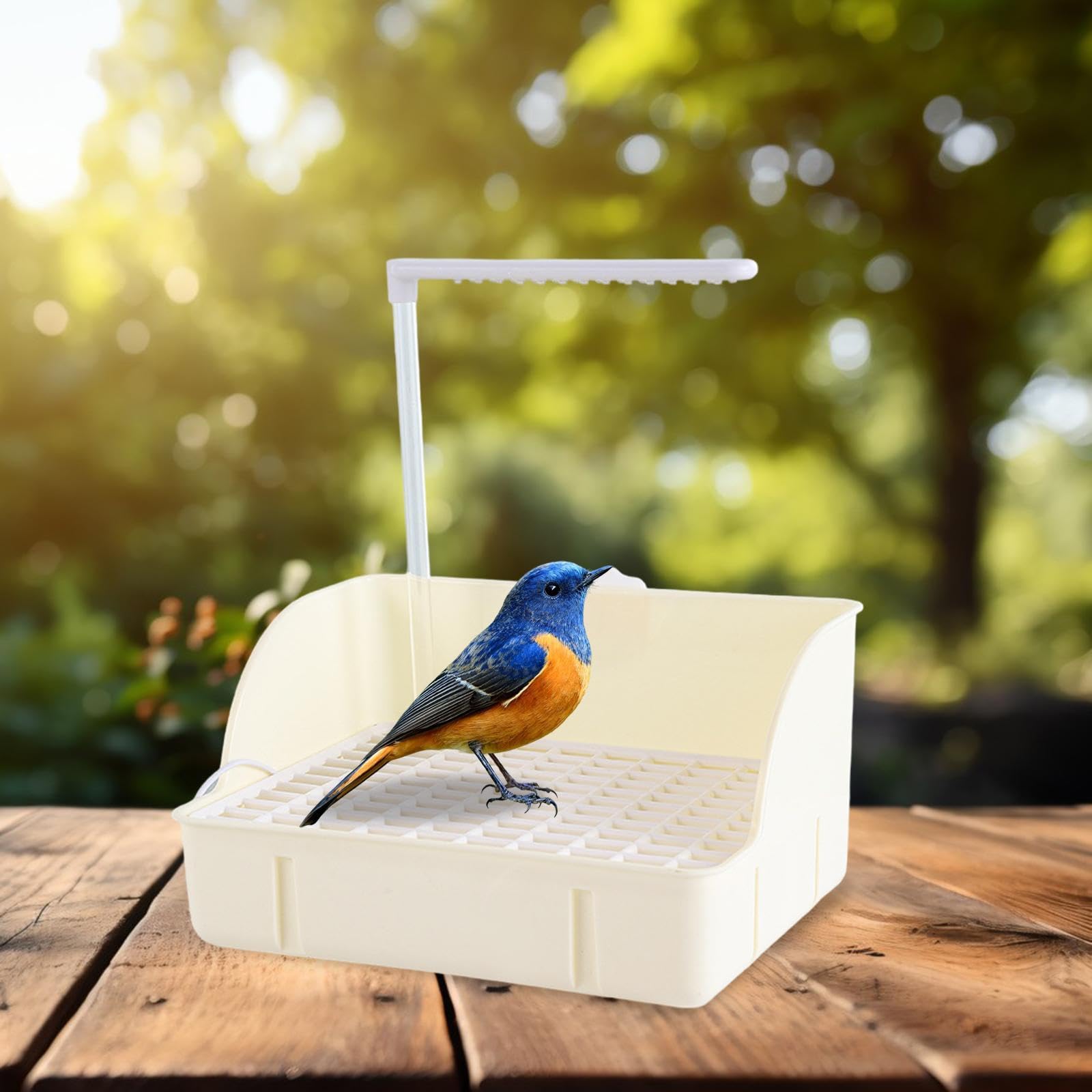 Bac de Bain pour Oiseaux de Compagnie, Facile à Nettoyer, pour Perroquets, Perruches Ondulées et Calopsittes, Blanc