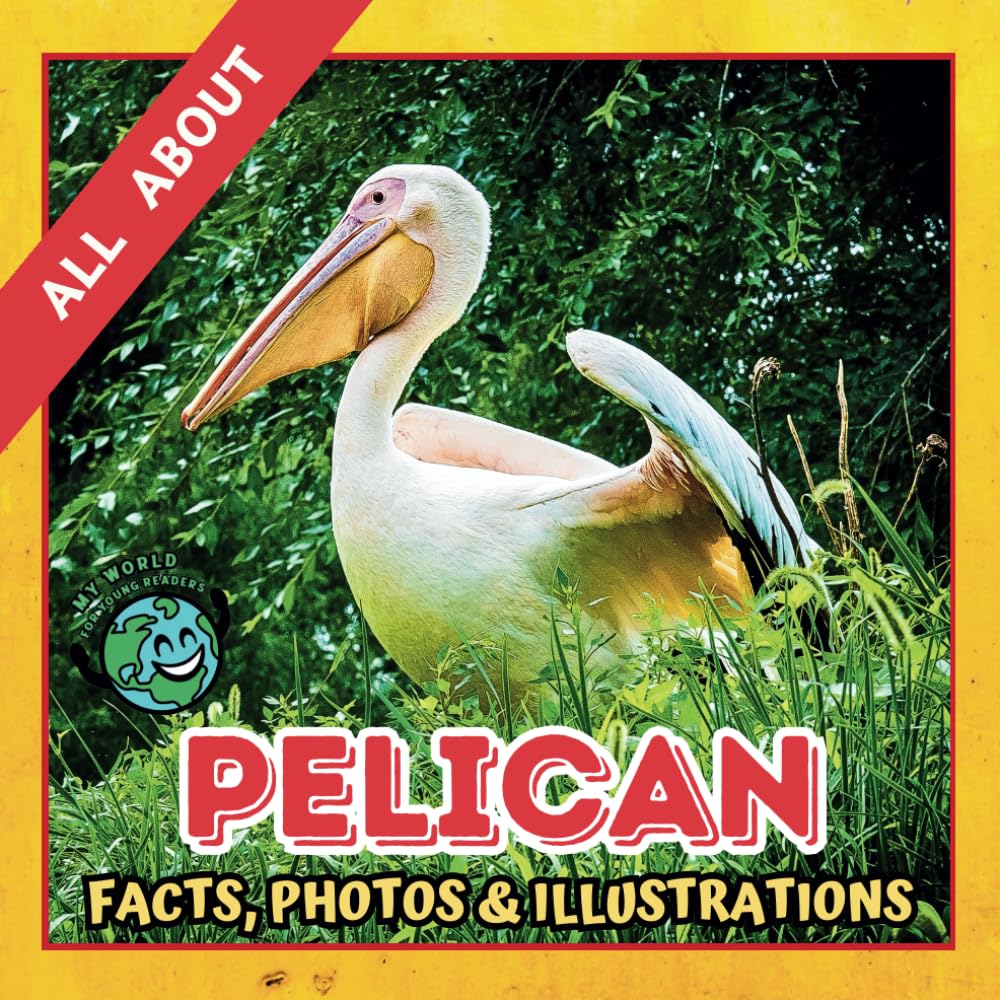 All about Pelican | Facts, Photos and Illustrations: A Picture Book for Kids and Toddlers | Screen-Free Infotainment (MY WORLD for YOUNG READERS)