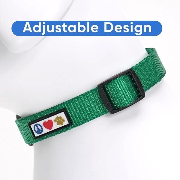 Pawtitas Extra Small Solid Lush Green Dog Collar - Adjustable Puppy Collar with Matching Leash and Harness - 2