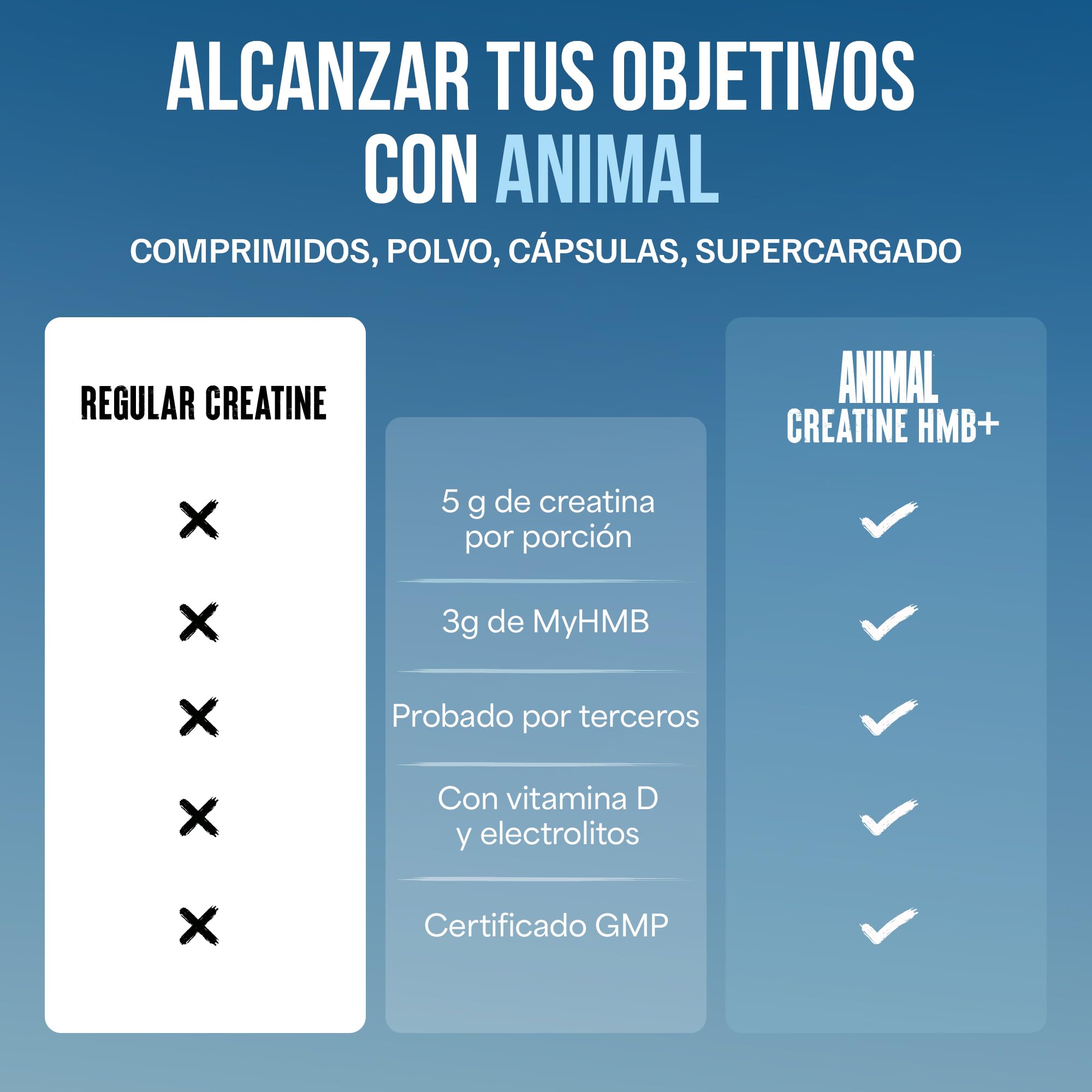 ANIMAL Creatine HMB+ - Creatina monohidrato en polvo con HMB y electrolitos - Favorece el crecimiento muscular, la regeneración y la resistencia - Power Punch, 30 porciones