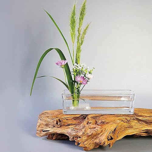 Miniatura 9 de 2 ranas florales de plástico grueso de 2.756 in2.76 pulgadas, ranas florales japonesas transparentes, redondas, Ikebana Kenzan, arreglo floral,