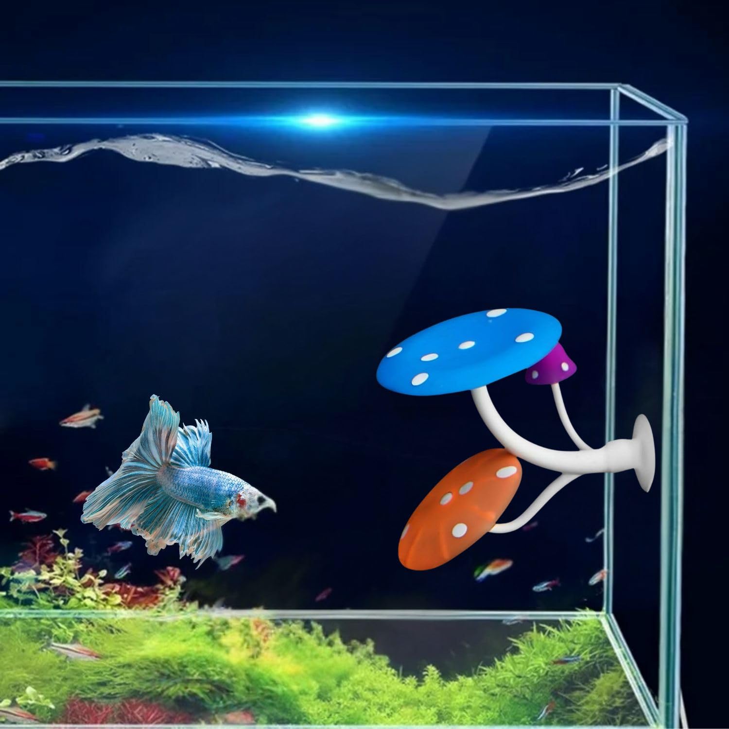 1 Pcs Glowing Effect Betta Mushroom Hammock Soft Aquarium Rest Bed Fish Breeding Playing Pad with Suction Cup Silicone Ornament Decoration by Petzlifeworld