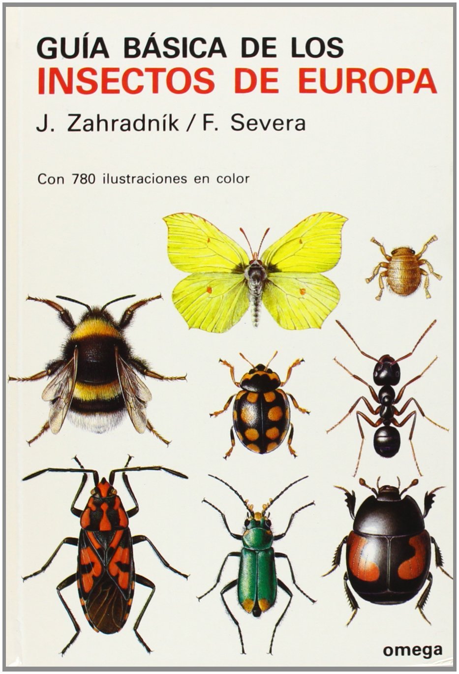 GUIA BASICA DE LOS INSECTOS DE EUROPA: 20 (GUIAS DEL NATURALISTA