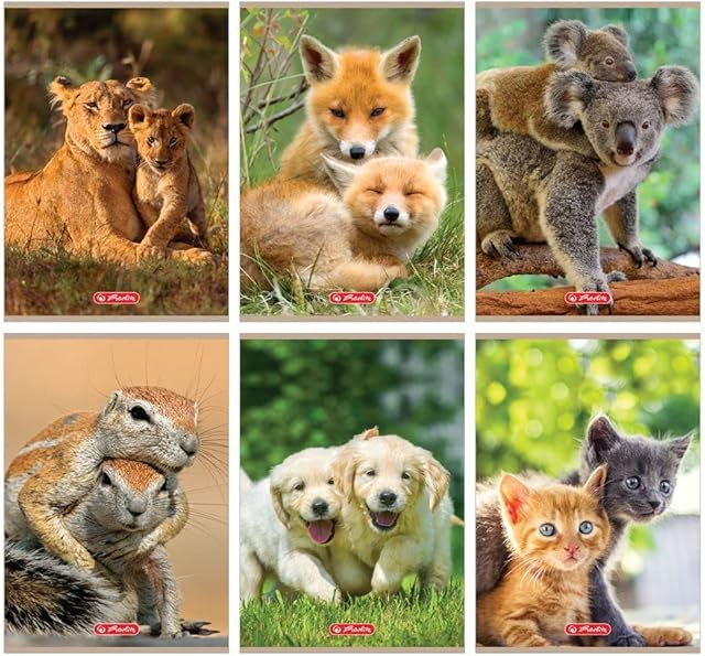 Notebook A5, 16 sheets in a double line, Animals