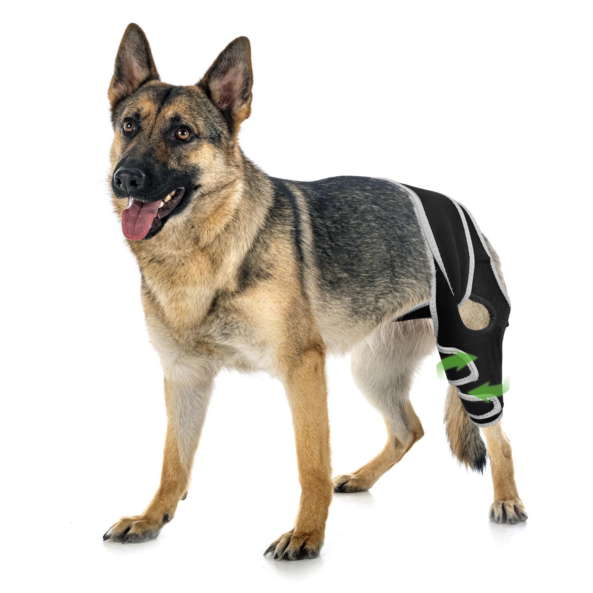 Photo 1 of Dog Knee Brace for Luxating Patella, Dog Leg Brace Front, Dog ACL Brace Hind Leg with 6 Metal Strips to Protect Knee Joint, Provide Stable Support and Relief Pain, Help Resume Normal Activities XL