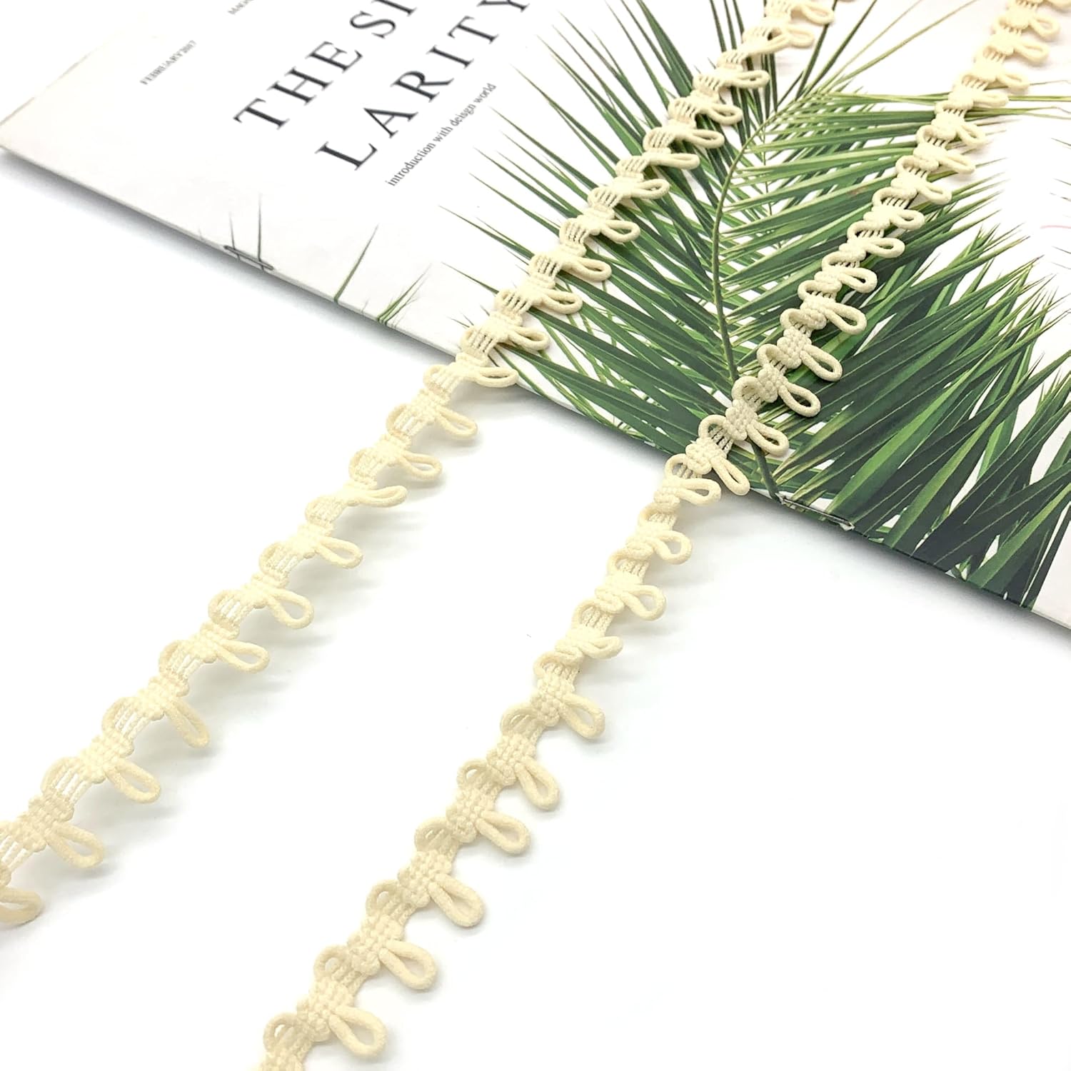 Lace Ribbon Buttonhole Trim with Button Elastic Cord Eyelet 18M Elastic Buttonholes for Wedding Dresses Elastic Buckles for Collar Women Decorations (White)