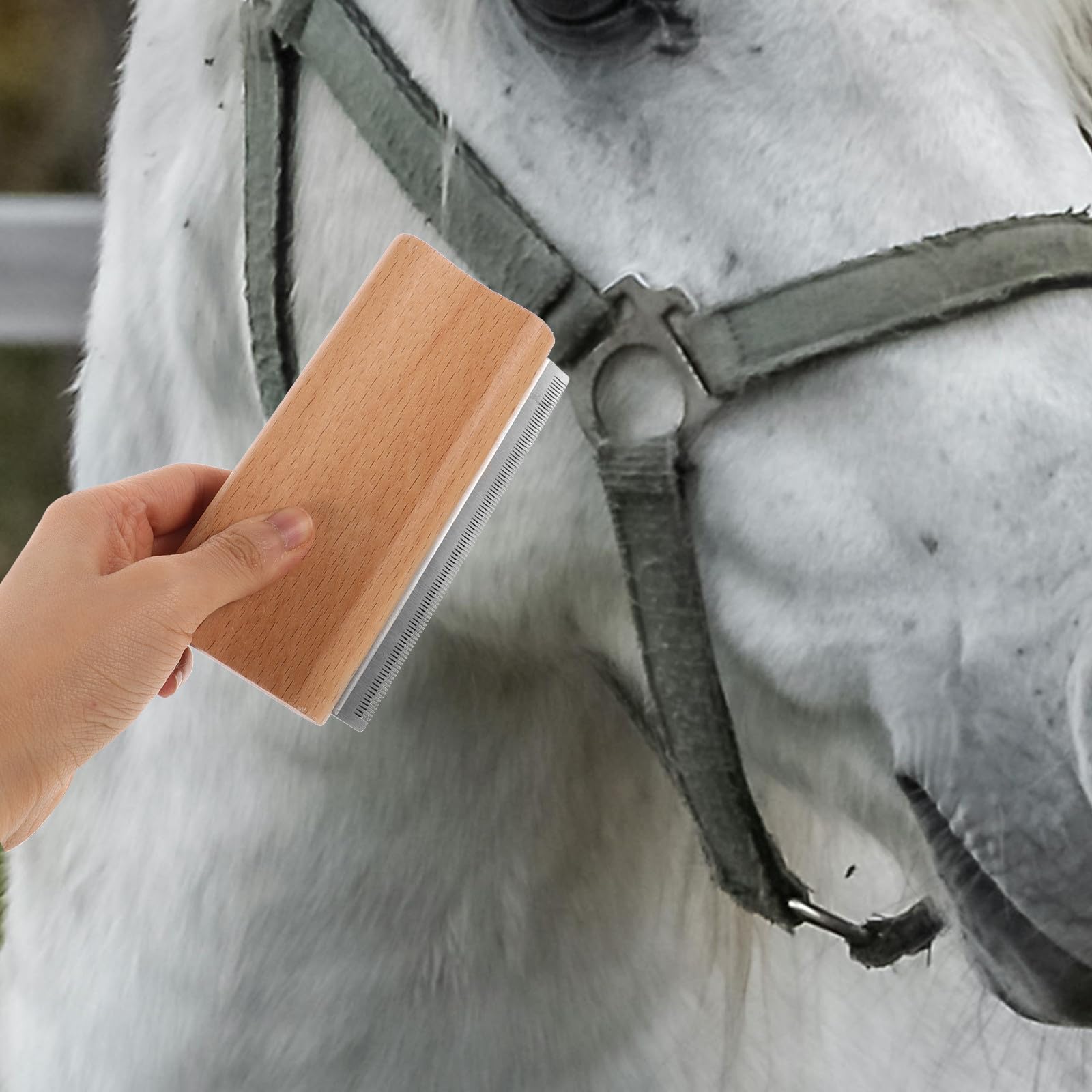 Kisangel Cepillo de Aseo Ergonómico para Mascotas, Raspador de Pelo de Caballo y Perro Mango de Madera y Acero Inoxidable para Limpieza — view 6