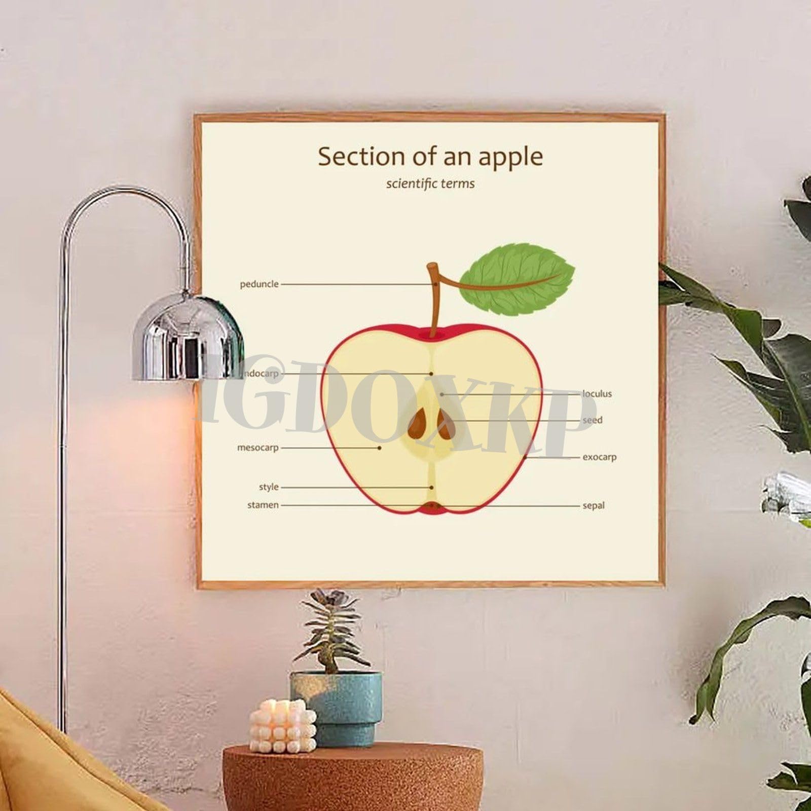 Apple Organizational Chart Wall Poster Apple's Organization Structure: