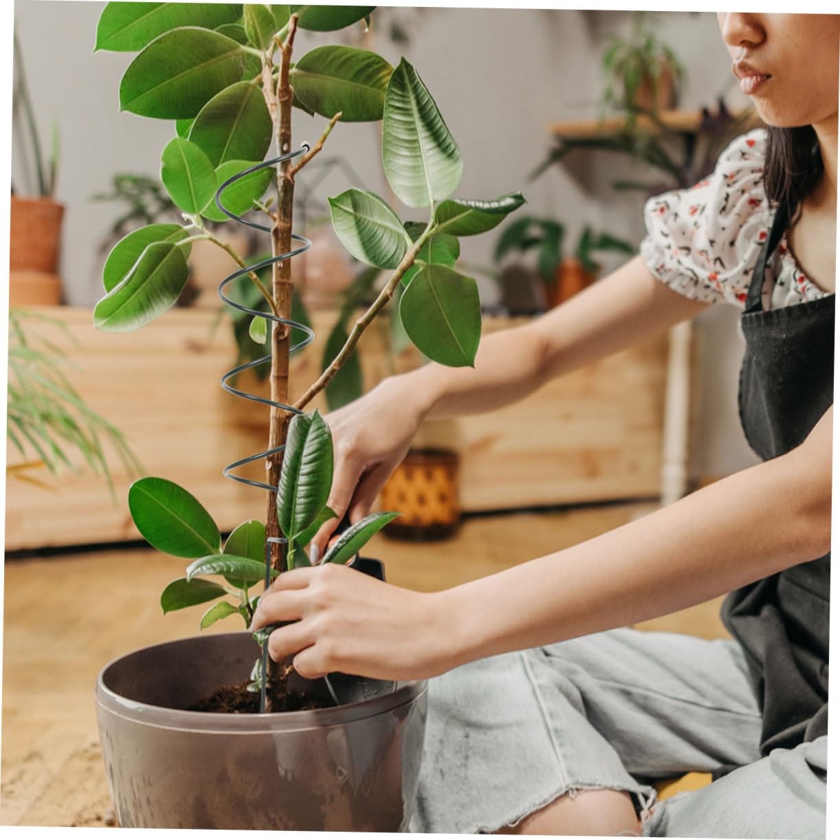 YARNOW 8 Pièces Tuteurs Spirales en Fer Support de Tige de Plante Facile à Insérer pour Orchidées et Cactus Crab en Intérieur et Extérieur